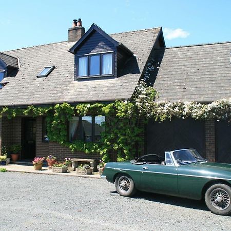 Llanwrtyd Wells Ty Carreg Bed & Breakfast エクステリア 写真