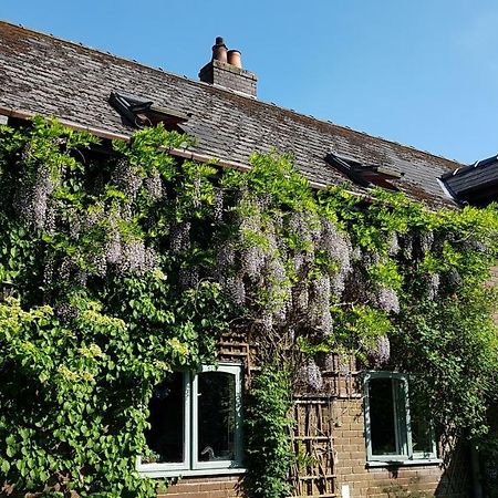 Llanwrtyd Wells Ty Carreg Bed & Breakfast エクステリア 写真
