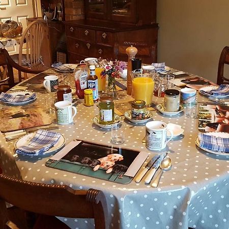 Llanwrtyd Wells Ty Carreg Bed & Breakfast エクステリア 写真