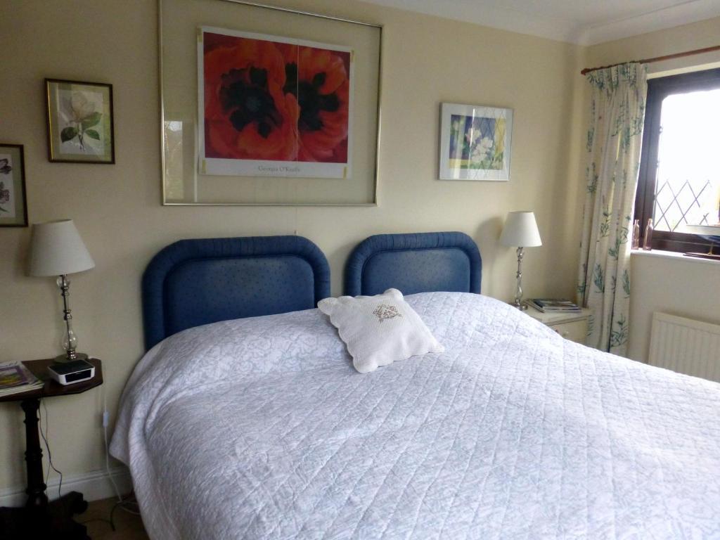 Llanwrtyd Wells Ty Carreg Bed & Breakfast 部屋 写真