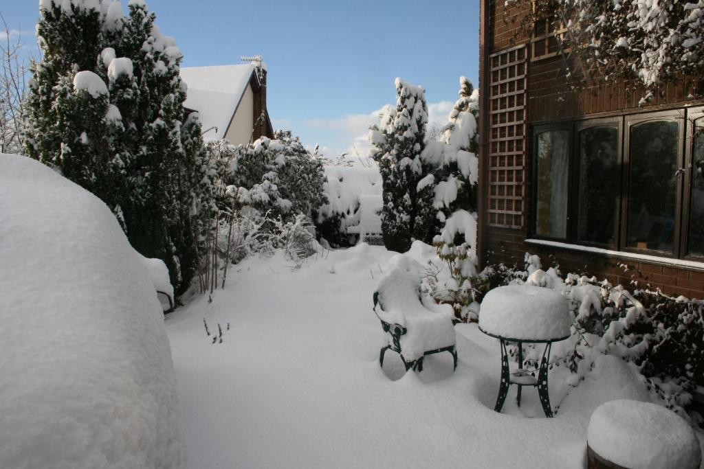 Llanwrtyd Wells Ty Carreg Bed & Breakfast エクステリア 写真