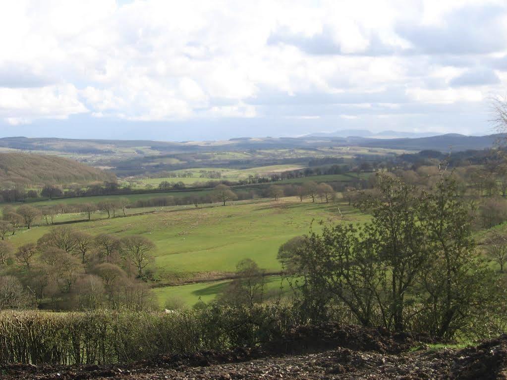 Llanwrtyd Wells Ty Carreg Bed & Breakfast エクステリア 写真