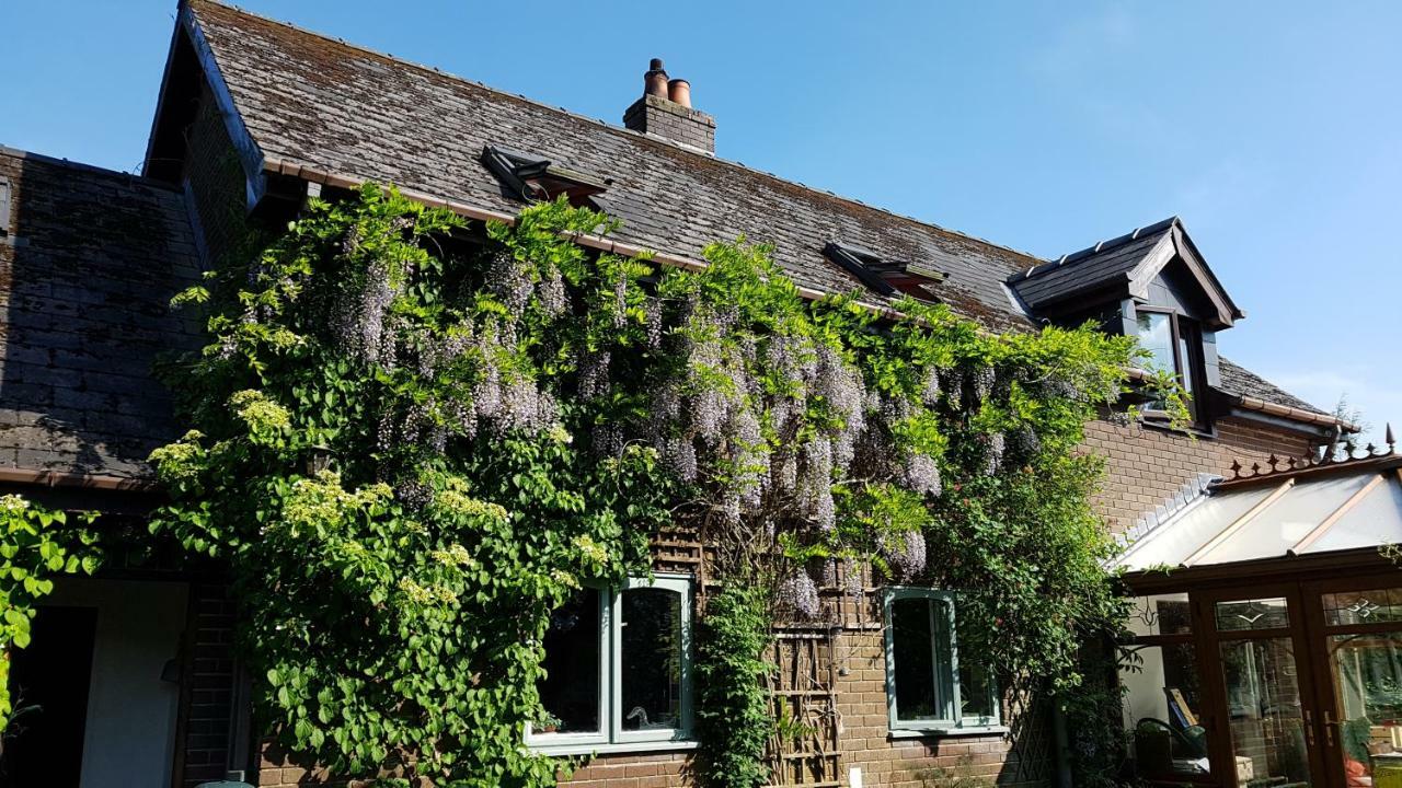Llanwrtyd Wells Ty Carreg Bed & Breakfast エクステリア 写真